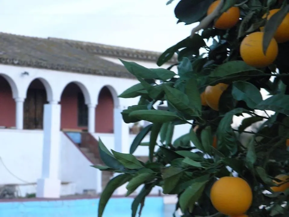 Cortijo Nidolea Hotel Caleta De Velez Guest house